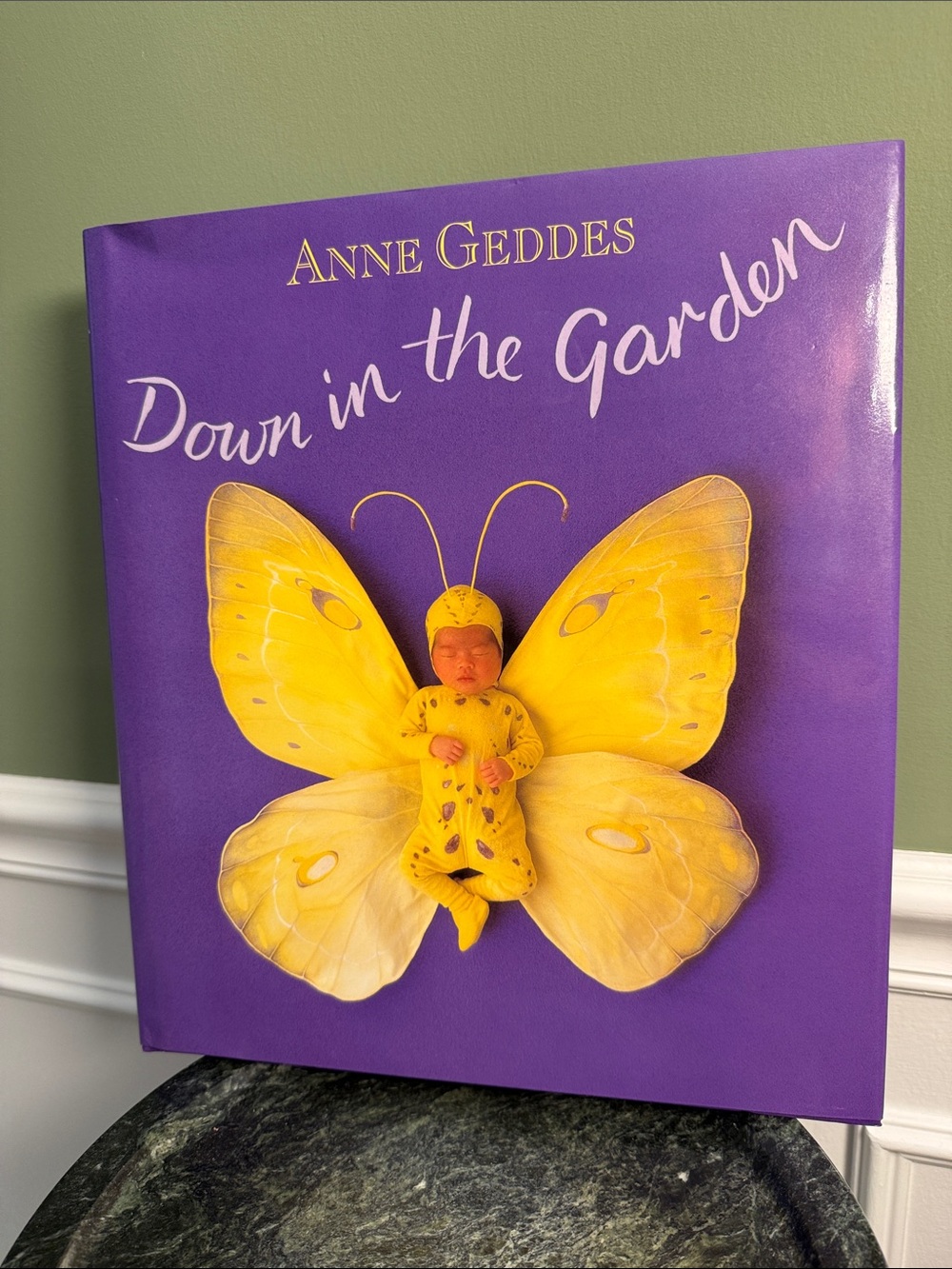 Book -Anne Geddes- Down in the Garden- Large Hardcover -NWOT